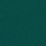 Pro Form Pool Cloth