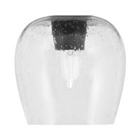 6" Clear Bubble
